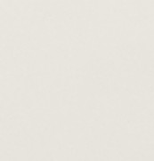 ニュートランス　303角片面小端仕上げ（フラット）ECP-3031T/NTC1FN