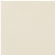 ニュートランス　303角片面小端仕上げ（フラット）ECP-3031T/NTC2FN