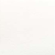 フェミーナ　303角平ECP-303/FMN1N