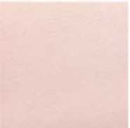 フェミーナ　303角平ECP-303/FMN4N