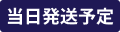 当日発送予定